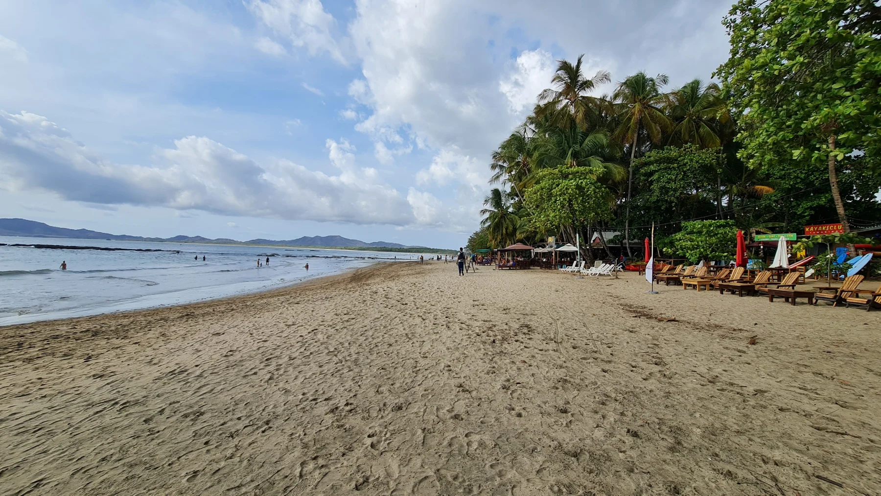 Calm sandy bay and forested headland ideal for family coastal outings