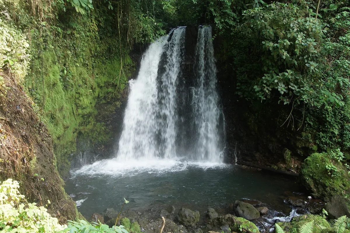 Tropical waterfall plunging into a clear jungle swimming basin in Costa Rica